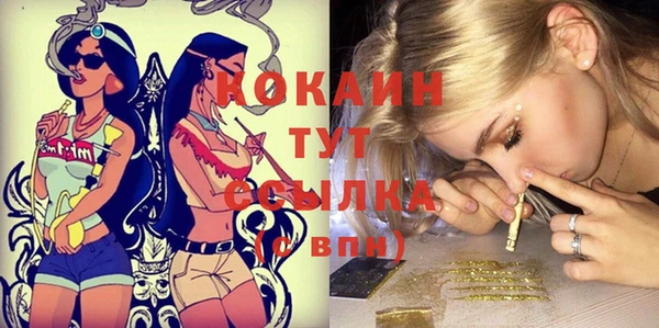 сатива Вязники