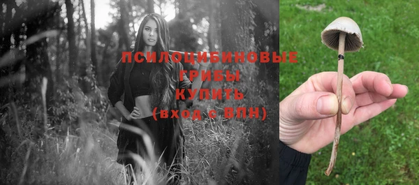 сатива Вязники