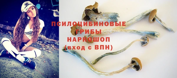 сатива Вязники